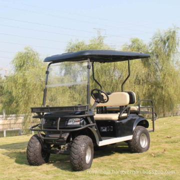 China Factory Supply Electric 2 Seat Hunting Utility Vehicle (DH-C2)